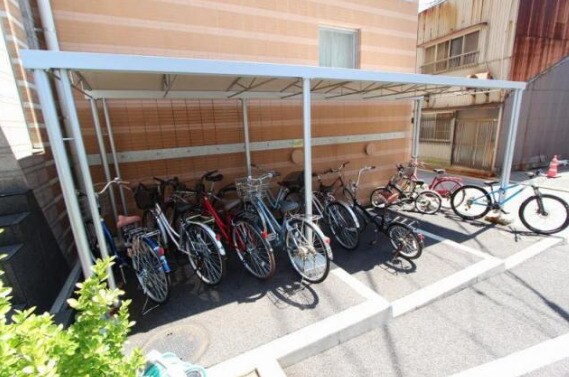  コリドールベイ