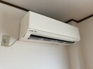  an