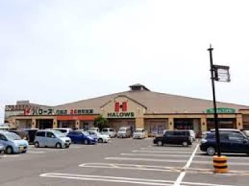 ハローズ 円座店(スーパー)まで243m ロイヤルコート円座　B棟