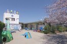 太田西保育園(幼稚園/保育園)まで981m ディアメゾン