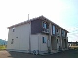 秋桜ミディⅡ
