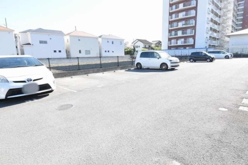  サン・ドリーム