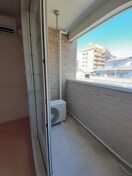  プラタナス