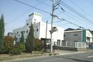 赤松内科医院さんまで190m サン・フィオーレ　Ⅱ