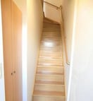  ロイヤルピジョン