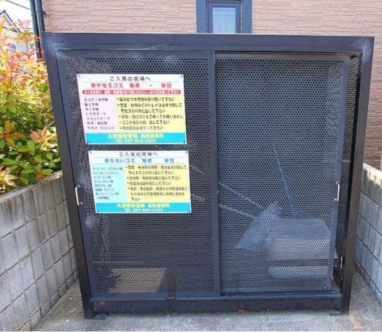  ロイヤルピジョン