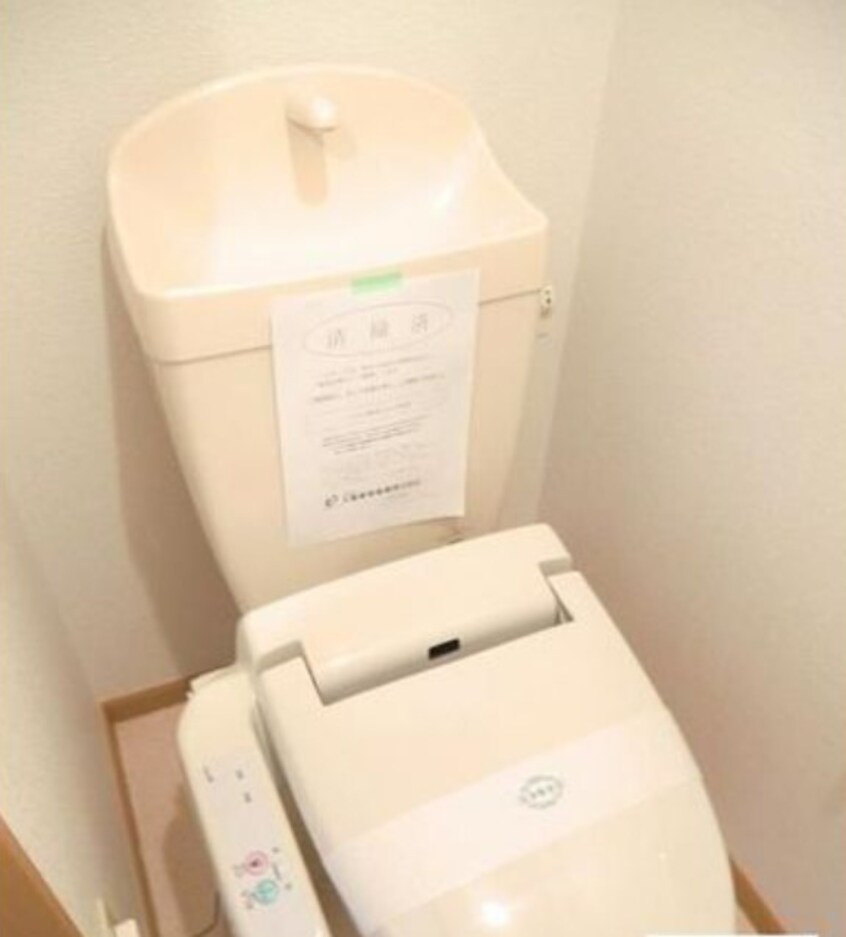  ロイヤルピジョン