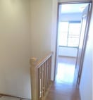  ロイヤルピジョン