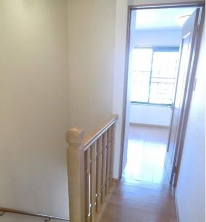  ロイヤルピジョン