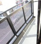  ロイヤルピジョン