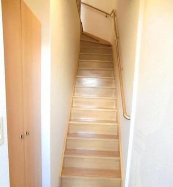  ロイヤルピジョン