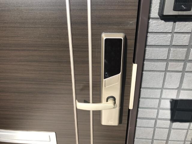 EDロック カンパニュラ