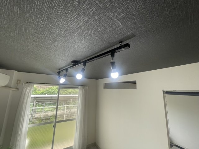  フォブールホロニックB