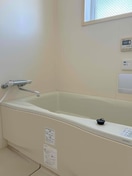  コリドールエスエフ