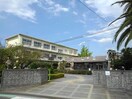 坂出市立林田小学校まで600m ビィ・フラットＡ