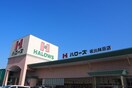 ハローズ坂出林田店まで650m ビィ・フラットＡ