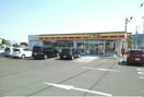 デイリーヤマザキ六条店さんまで550m エスポワールＣ