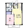 シティハイツ中美 1LDKの間取り