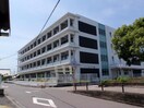 丸亀市立城北小学校まで600m シンフォニー