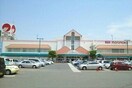 マルナカ栗林南店さんまで1800m グローリアスファイブ