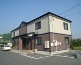 サンフラワー　Ｂ