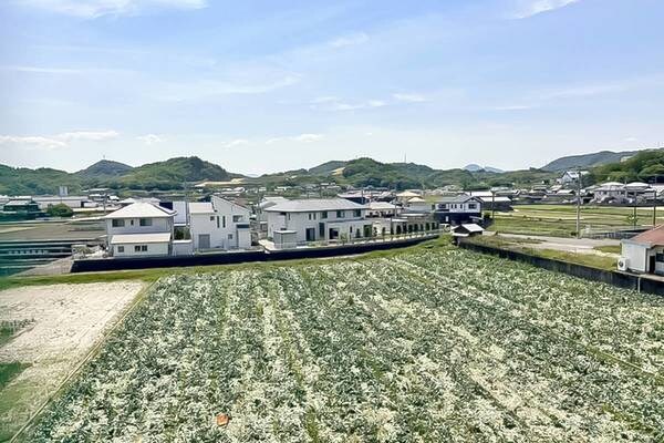 ビレッジハウスの同一物件・同一タイプの間取りの写真です ビレッジハウス本村2号棟