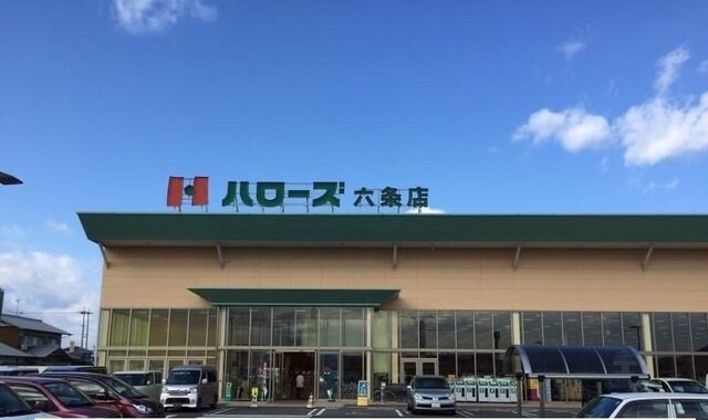 ハローズ六条店さんまで1500m ピア六条Ⅱ