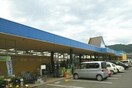 ダイキ　牟礼店さんまで660m ヒーリング　Ａ