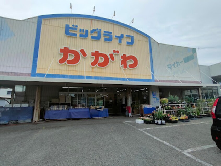 ホームセンタービッグライフかがわ(電気量販店/ホームセンター)まで685m 藤塚コーポラス