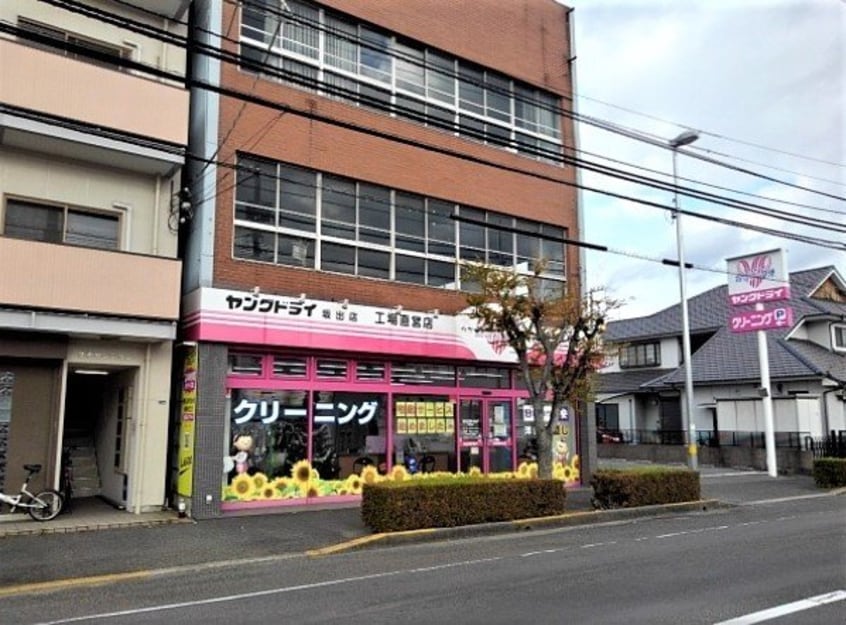 ヤングドライ坂出店まで800m サニーハイツ楠　Ｂ