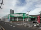 ザグザグ宇多津店まで700m クレアガーデンＣ