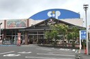 生活共同組合コープかがわ コープうたづ(スーパー)まで3977m アムール・ＧＡＫＵ　Ｂ