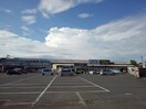 タイム坂出店まで900m パレス・ニュールミネⅢ　Ａ