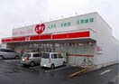 レディ薬局まで1100m ＡＮＮＥＸーＭ