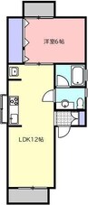ハイツ八番館 1LDKの間取り