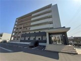 モア　ドリーム