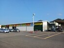 新鮮市場きむらさんまで550m エレガンシア・ブローテⅠ