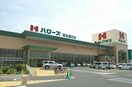 ハローズ高松春日店さんまで590m ナリッシュＬｅｅ　Ⅰ