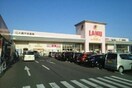 ラムー高松東店さんまで1700m エクセラン元山