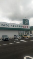 ザグザグ屋島西町店(ドラッグストア)まで673m フォブール高崎