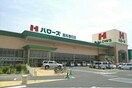 ハローズ高松春日店さんまで1230m フォルシュ・ヴェーラⅡＤ