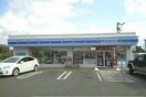 ローソン高松三谷店さんまで1300m ベル　フィオーレＡ