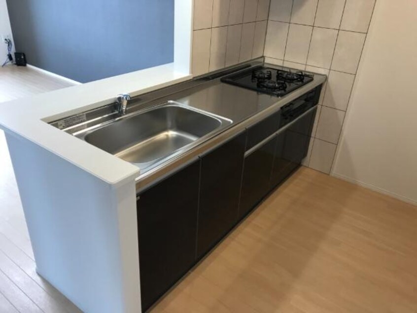 キッチン レガーメⅡ