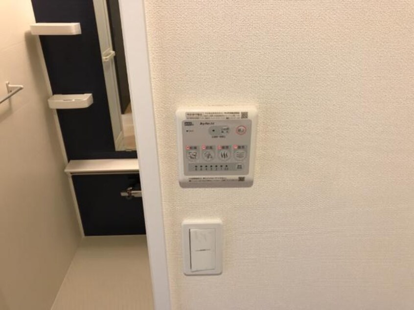 その他 レガーメⅡ