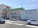 くすりのレデイ ハローズ六条店(ドラッグストア)まで803m セジュール六条A・B棟