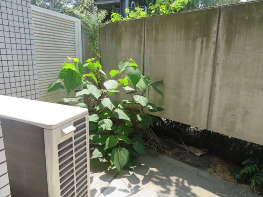  ラフォーレ石清尾