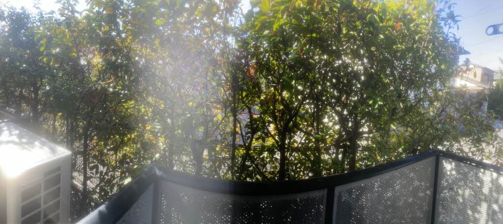  ディアス中塚　B棟