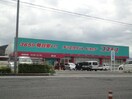 ディスカウントドラッグコスモス綾川店まで446ｍ プリオール
