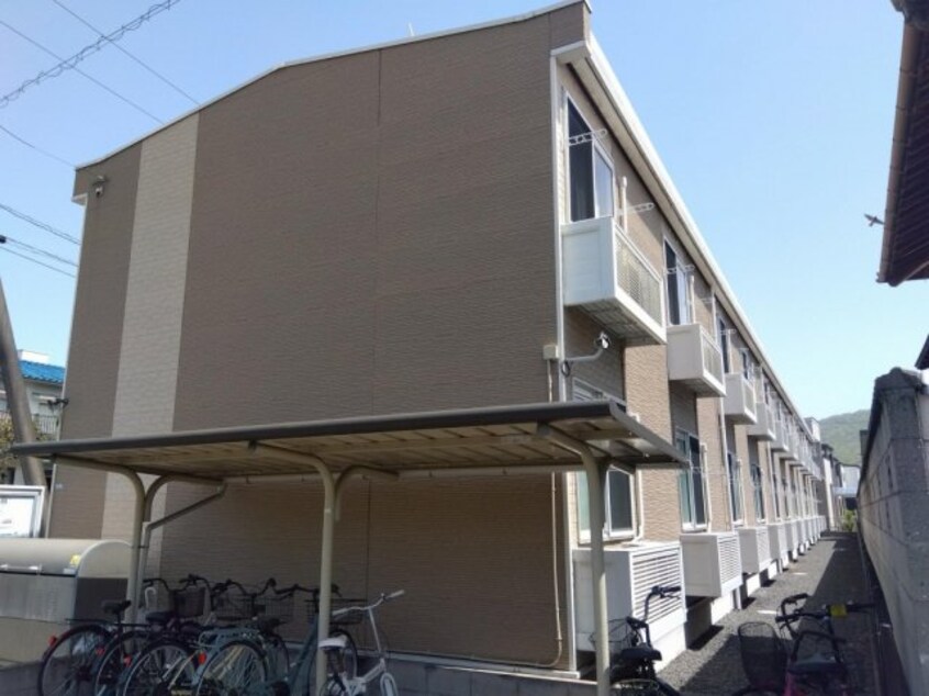  レオパレスクリスマスローズ