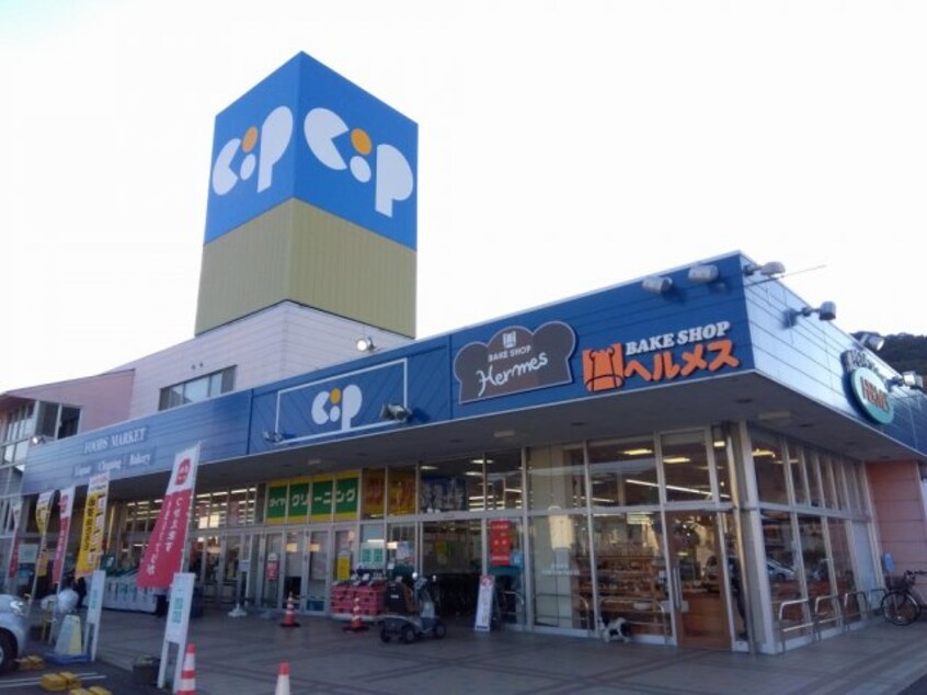  レオパレスクリスマスローズ